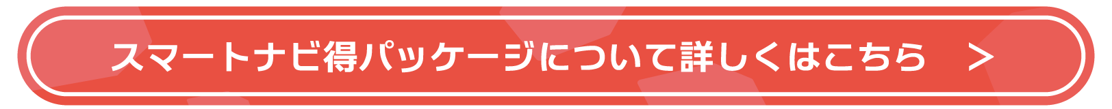 スマートナビ得パッケージについて詳しくはこちら